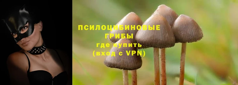 Псилоцибиновые грибы Magic Shrooms  Воронеж 