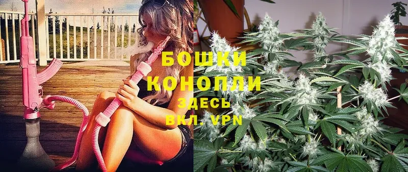 Бошки Шишки White Widow  наркота  Воронеж 